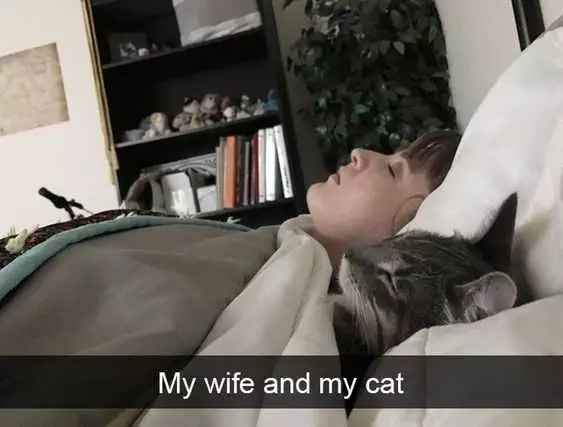 Sleep My Wife Cat