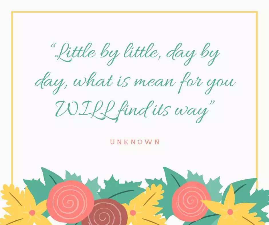 Little By Little Day By Day What Is Mean For You Will Find Its Way”