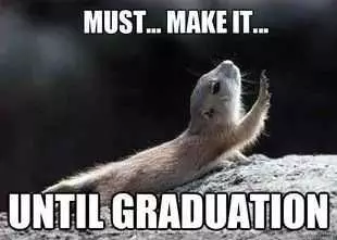 Funny Student Meme Featuring A Chipmunk Crawling Helplessly Captioned Must...make It... Until Graduation