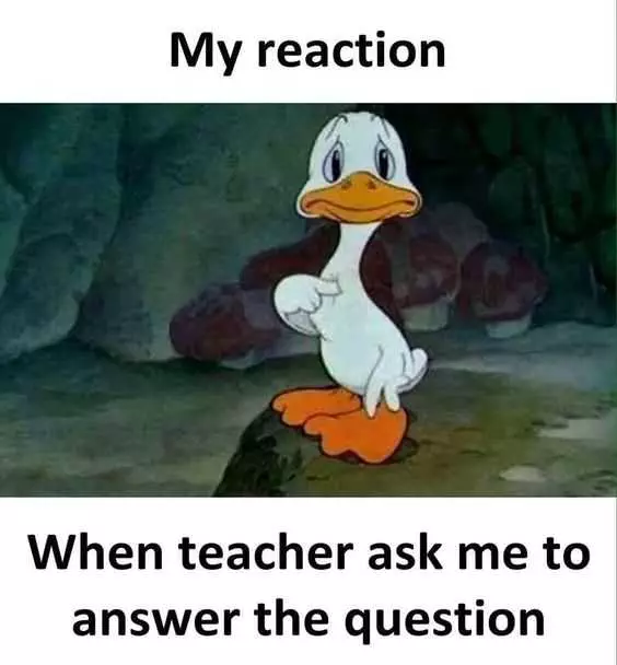 Meme Showing A Duck Looking Nervous Pointing At Himself Captioned My Reaction When Teacher Asks Me To Answer The Question