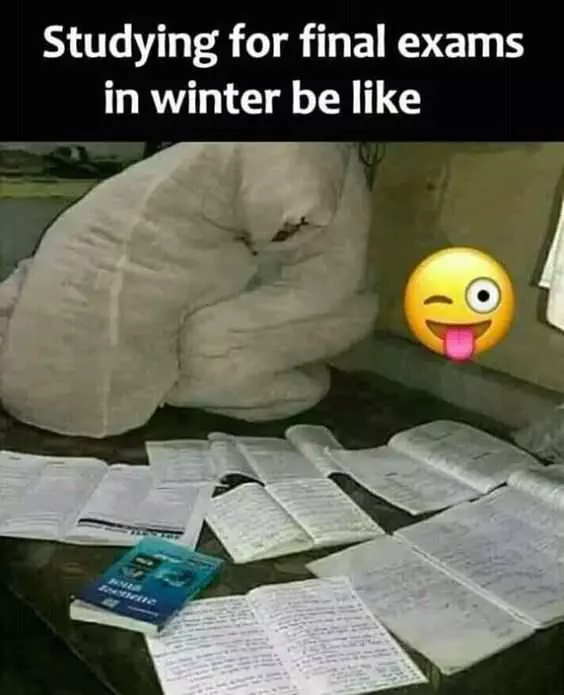 Student Meme Of Someone Wrapped In Duvet With Several Books And Notes Open Spread Out