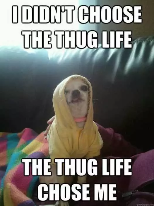 Funny Thug Life