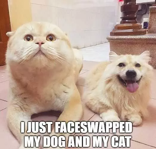 Pet Faceswap