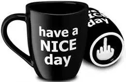 Have A Nice Day Mug With A Middle Finger Graphic On Cup Bottom