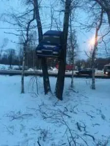 Tree Car A Car Stuck Between 2 Trees