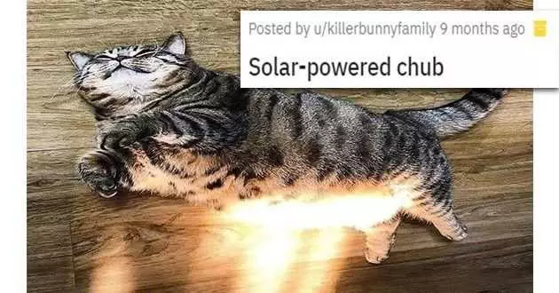 Funny Chonky Sun