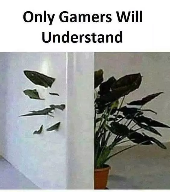 Funny Gamers Understand
