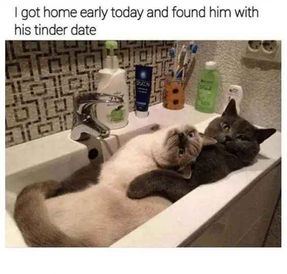 Funny-Tinder-Date Funny Tinder Date