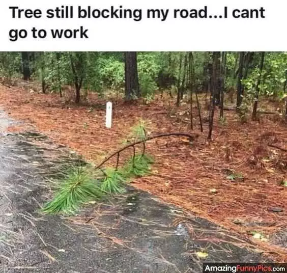 Funny Tree Blocking
