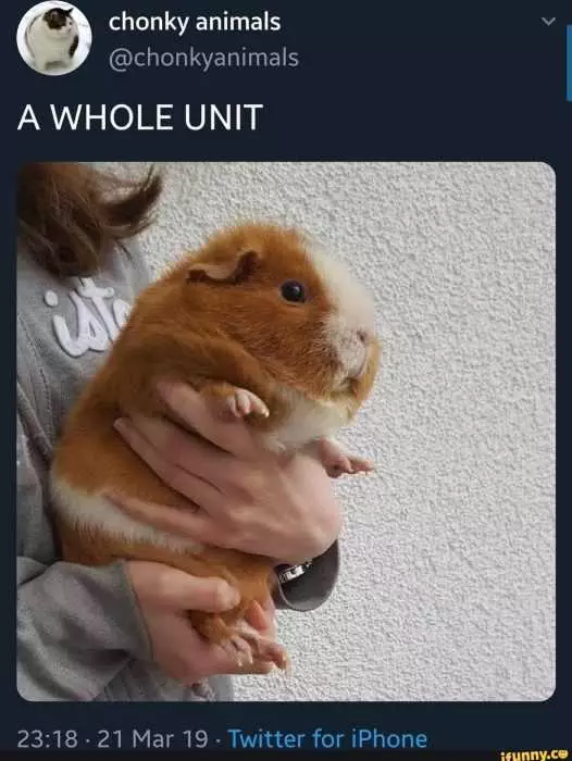 Funny Whole Unit
