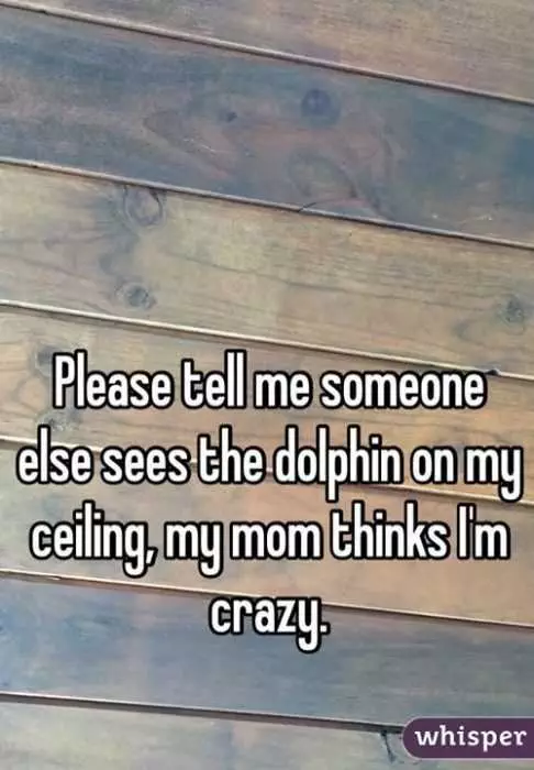 Whisper Dolphin