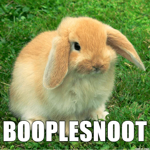 Animal Bunny Boopsnoot