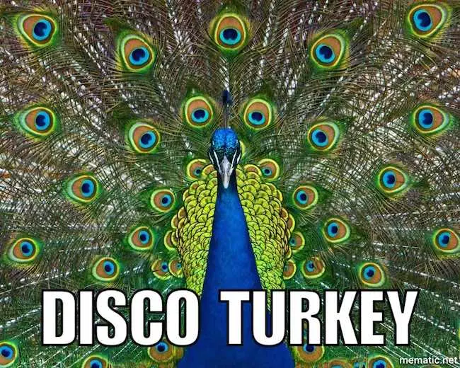 Animal Disco Turkey