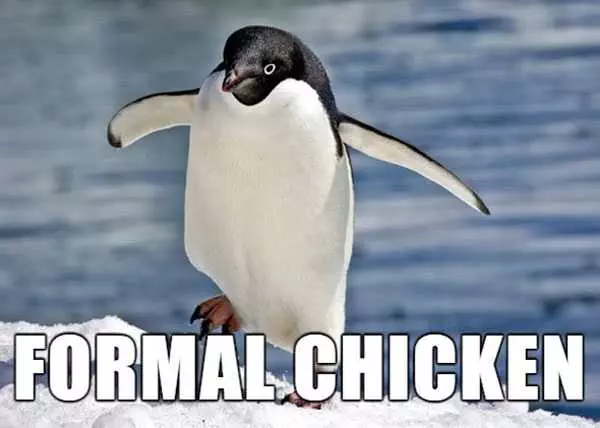 Animal Formal Chicken