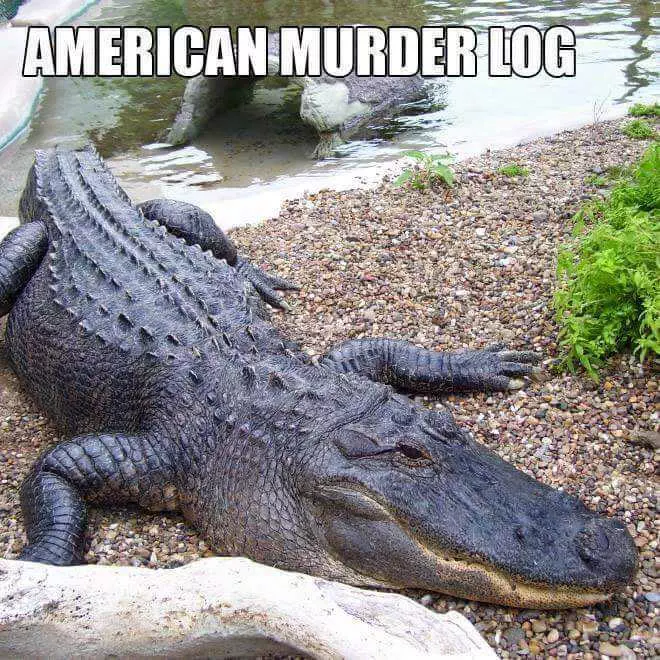Animal Murder Log