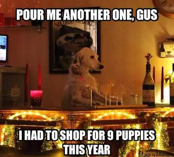 Funny 9 Puppies