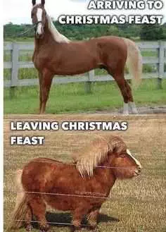 Funny Arriving Feast