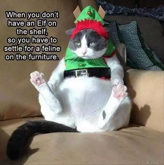 Funny Christmas Elf