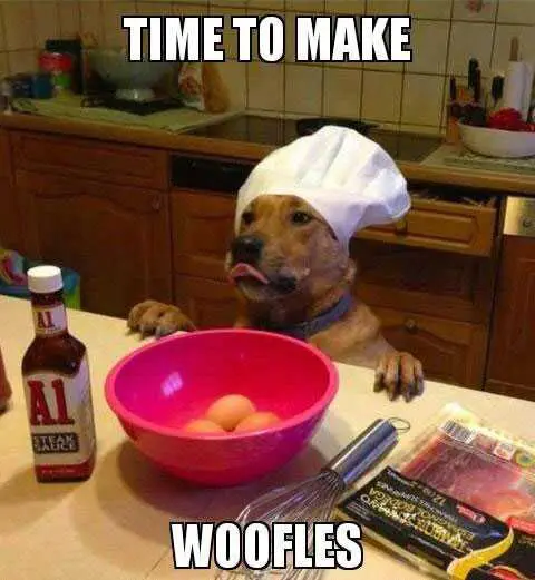 Funny-Dog-Woofles Funny Dog Woofles