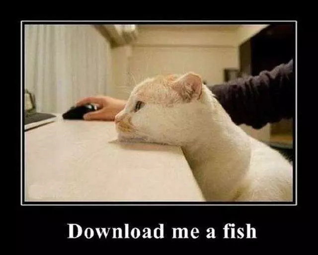 Funny Download Fish