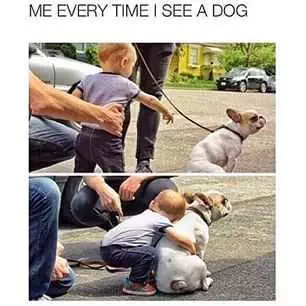 Funny Everytime See Dog