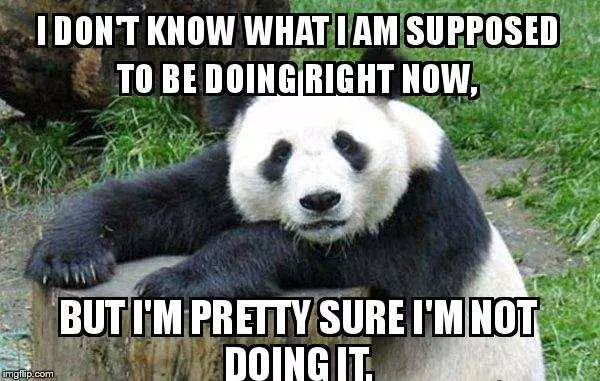 Funny Panda Lazy