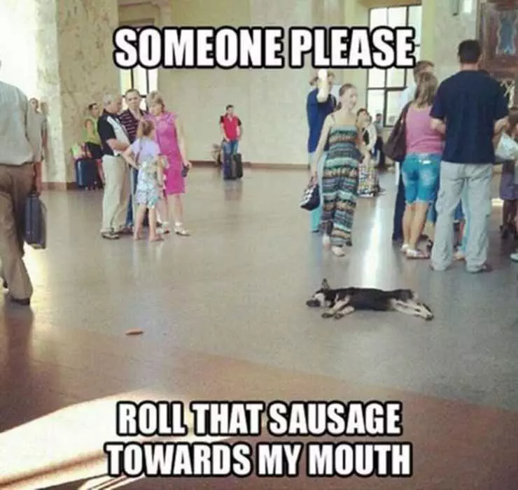 Funny Roll Sausage