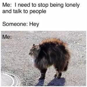 Funny Stop Being Lonely