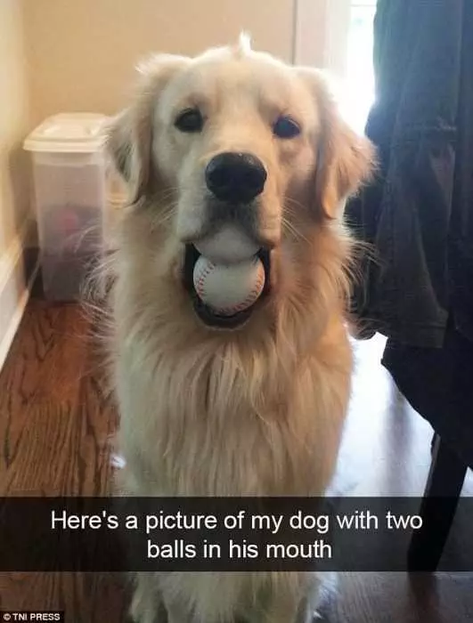 Funny Two Balls