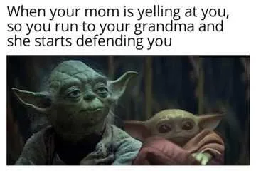 Yoda Mom Defending 1
