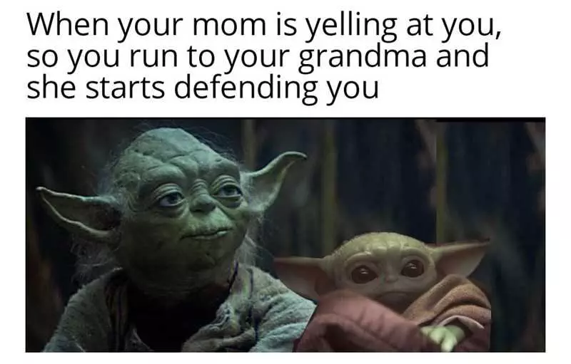Yoda Mom Defending 1