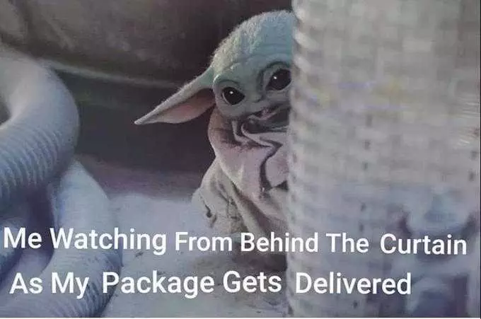 Yoda Watching Delivered