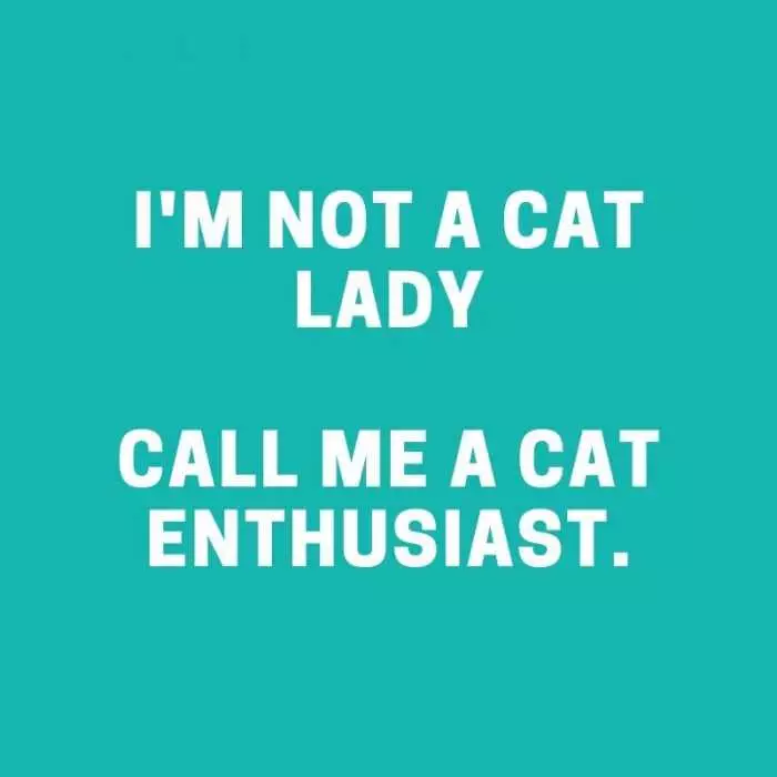 Quote Cat Lady