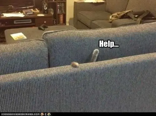 Cat Lol Couch