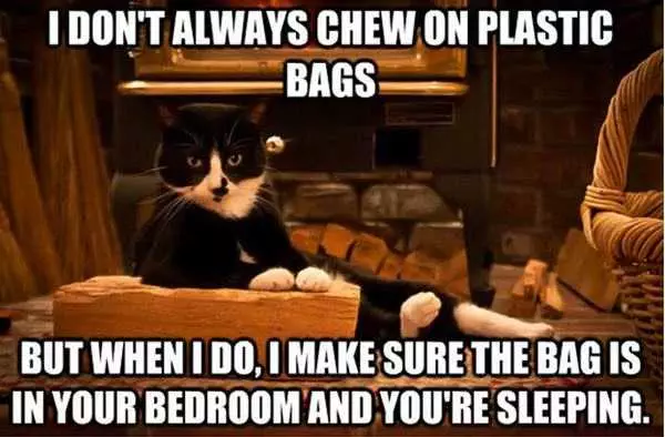Funny Chew Plastic Bag