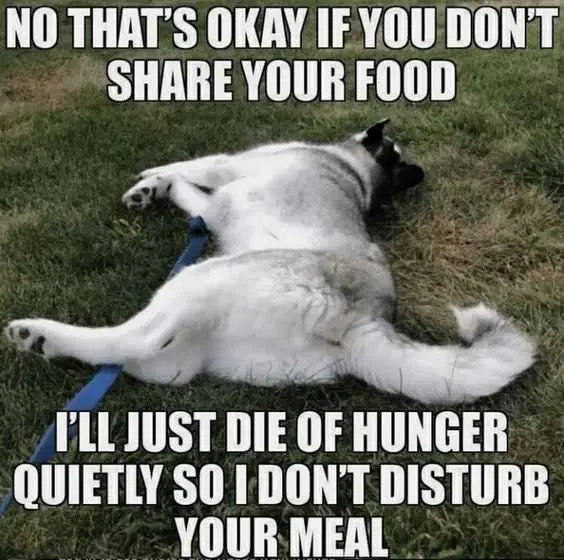 Funny-Die-Of-Hunger Funny Die Of Hunger
