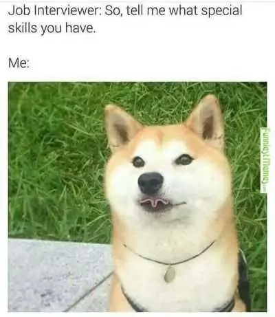 Funny Dog Skills