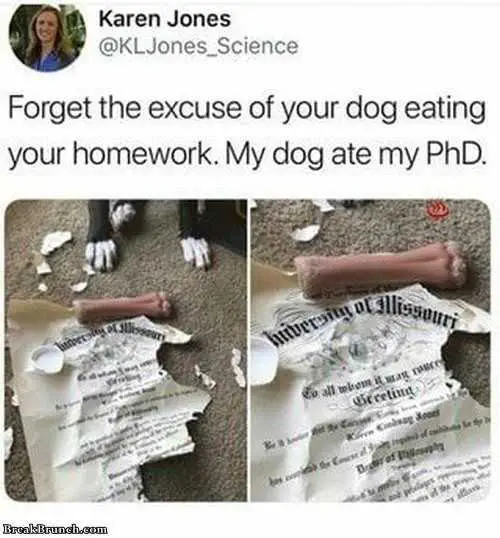 Funny-Eat-Phd Funny Eat Phd
