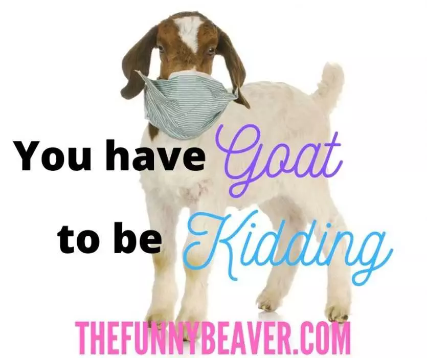 Funny-Face-Mask-Meme-Goat-To-Be-Kidding Funny Corona Virus Memes Goat To Be Kidding Meme