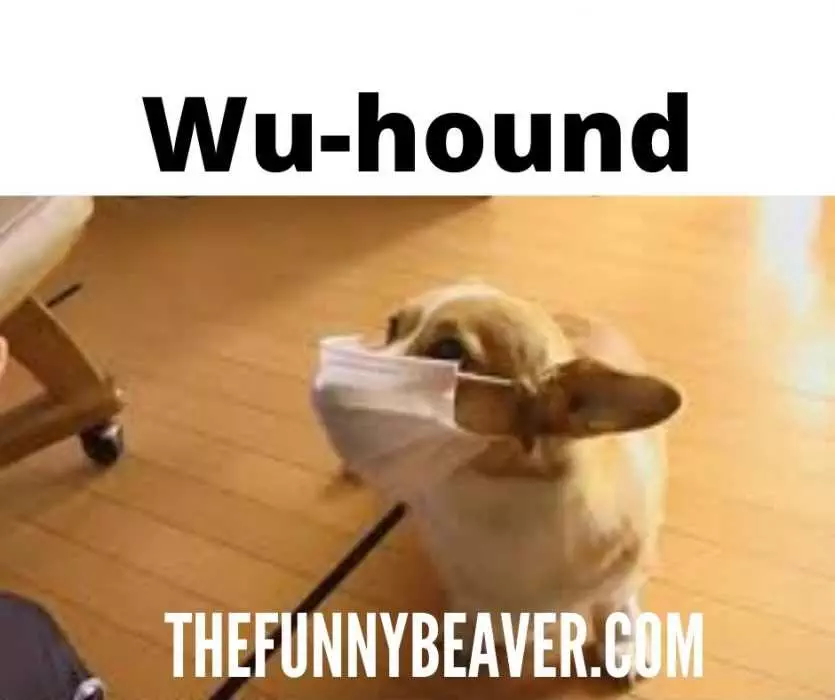 Funny-Face-Mask-Wuhound Funny Corona Virus Memes The WuHound Meme