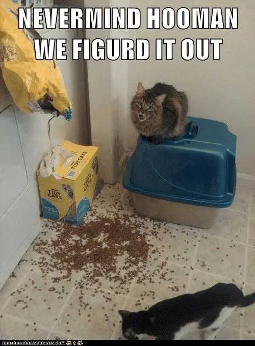 Funny-Figured-It-Out Funny Figured It Out