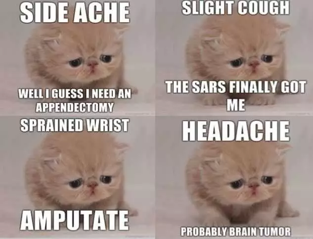 Funny Cat Pictures  Cat Emotion To Health Issues Meme
