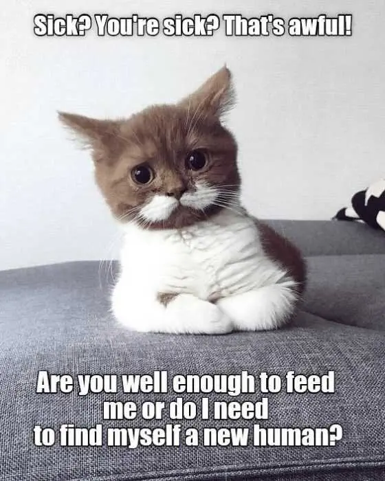 Funny-Hungers Funny Hungers