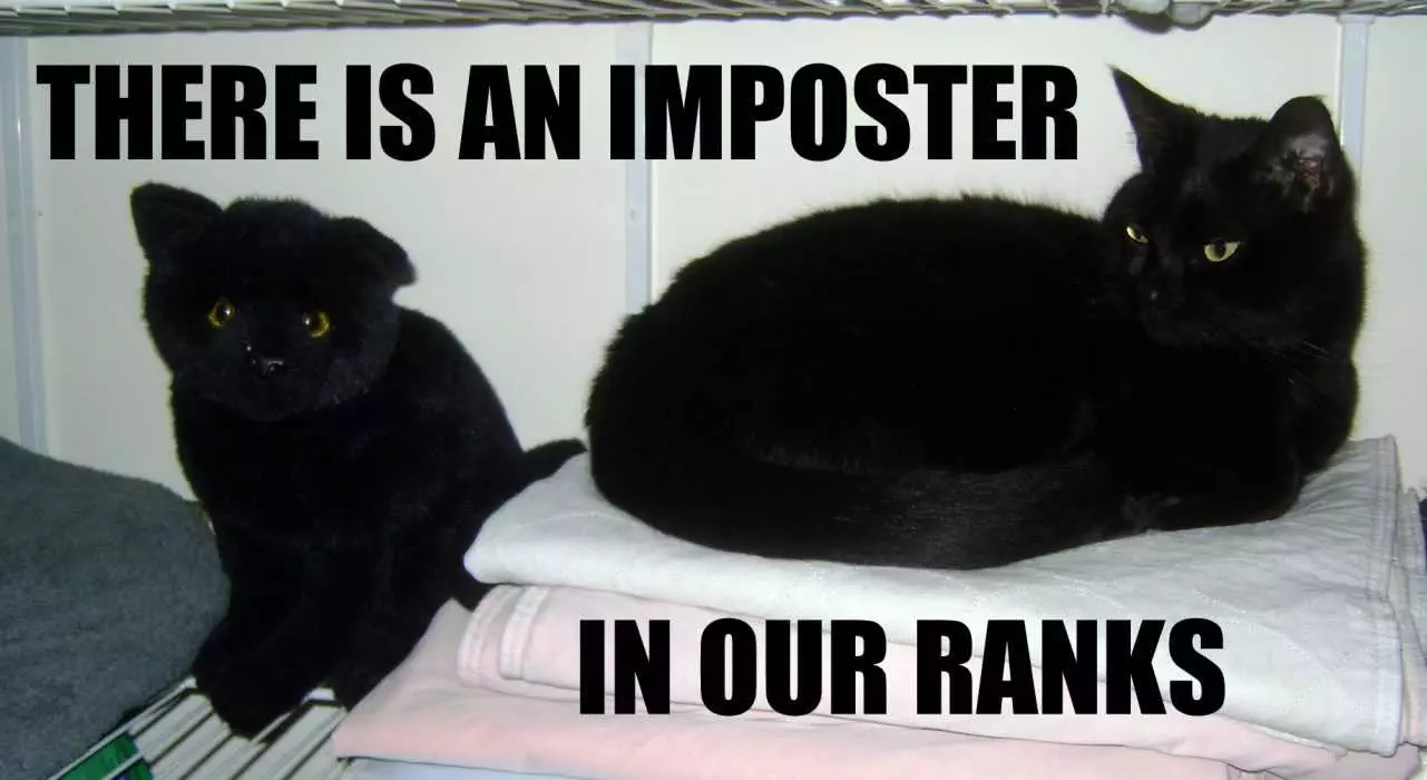Funny Imposter