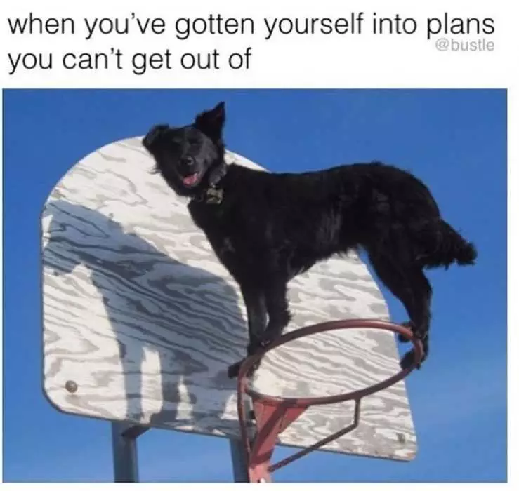 Funny In Plans