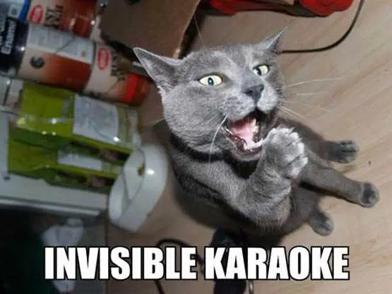 Funny-Karaoke Funny Karaoke