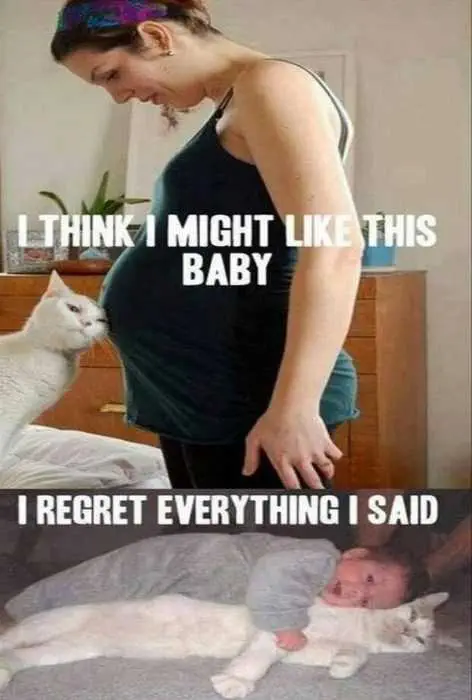 Funny-Like-The-Baby Funny Like The Baby