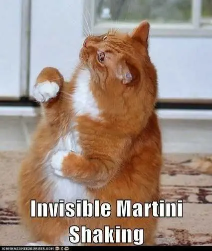 Funny-Martini-Shake Funny Martini Shake