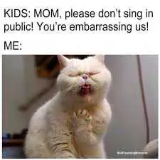 Funny Cat Pictures  Cat Imitating Mom Singing
