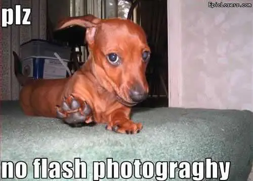 Funny-No-Flash Funny No Flash